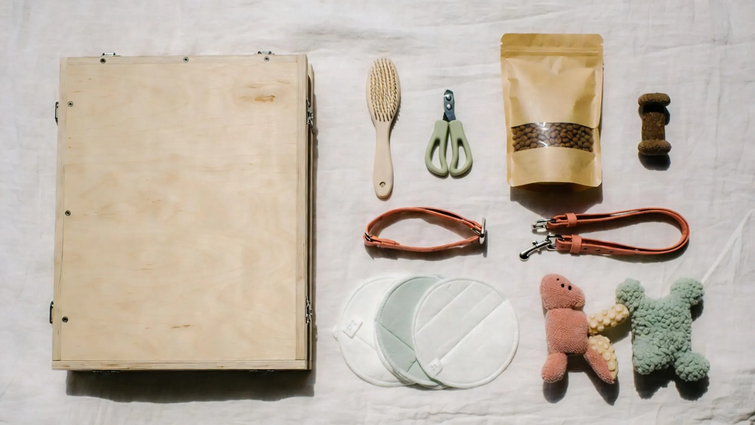 Starter kit for a Cavapoo puppy with playpen, carrier, grooming tools and food