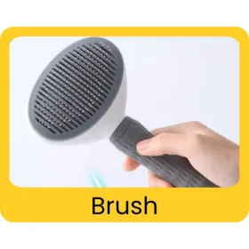 Brush