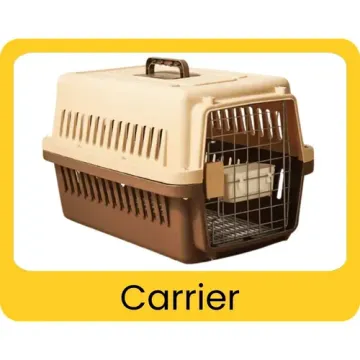 Carrier