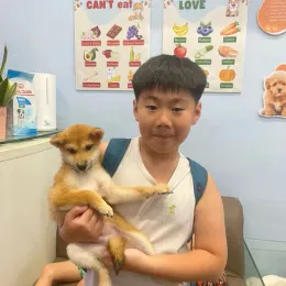 A Curious Tails customer with their new puppy in Singapore