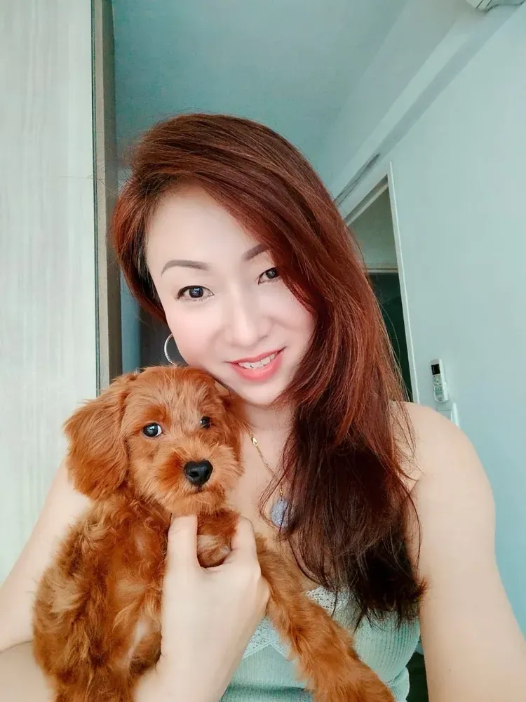 Another puppy photo from LKH LIM
