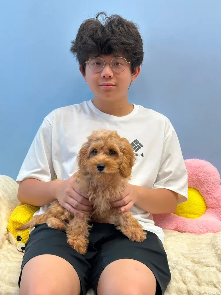 Puppy photo taken by pei long zheng, a Curious Tails customer