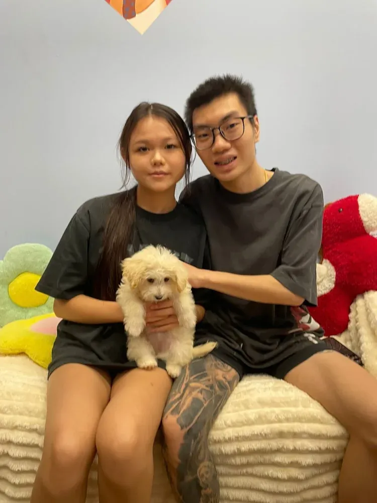 Puppy photo taken by Wong Min Hui, a Curious Tails customer