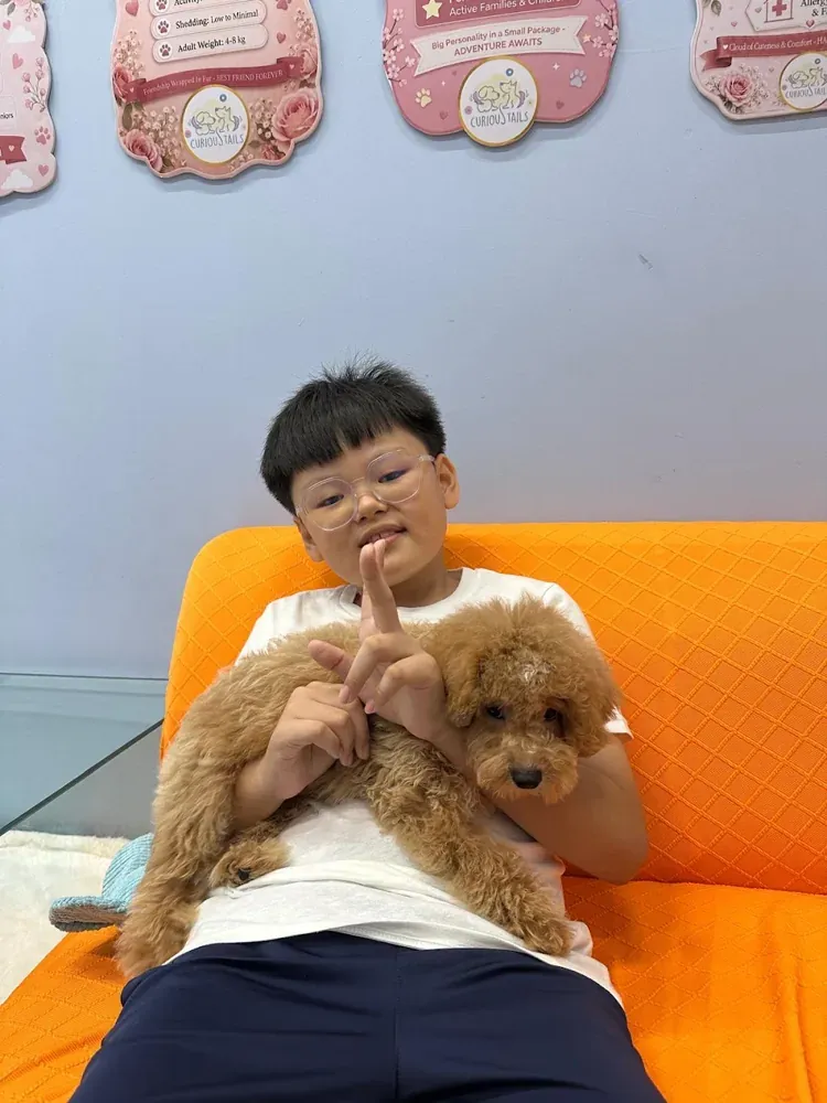Puppy photo taken by Michelle Ng, a Curious Tails customer