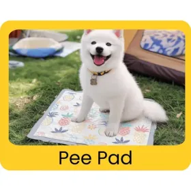 Pee Pad