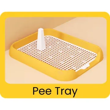 Pee Tray