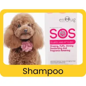 Shampoo