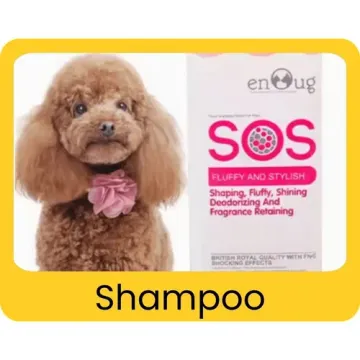 Shampoo